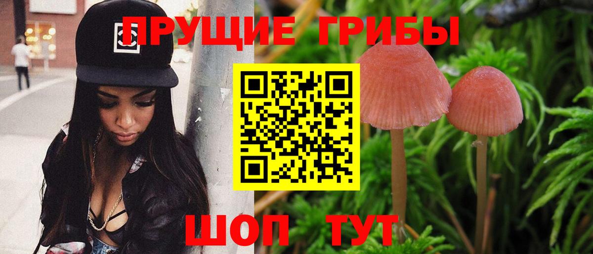 Галлюциногенные грибы мухоморы  Вход с VPN  Городец 